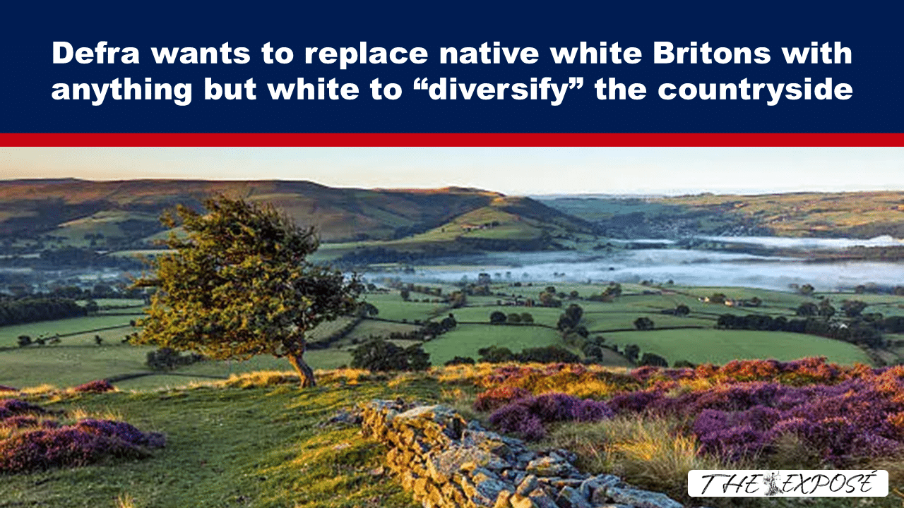 Defra wants to replace native white Britons with anything but white to 'diversify' the countryside — rural landscape with a lone tree and stone wall.