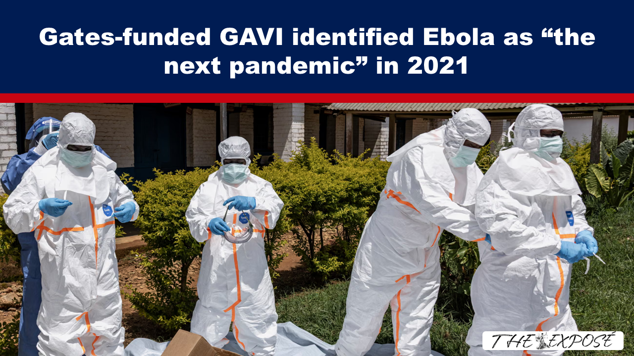 Healthcare workers in full white hazmat suits and blue gloves outdoors, preparing protective equipment near a shrub-lined building.