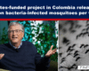 News banner claiming a Gates-funded project in Colombia releases 30 million bacteria-infected mosquitoes per week; left shows Bill Gates speaking, right shows mosquitoes on a blurred background.