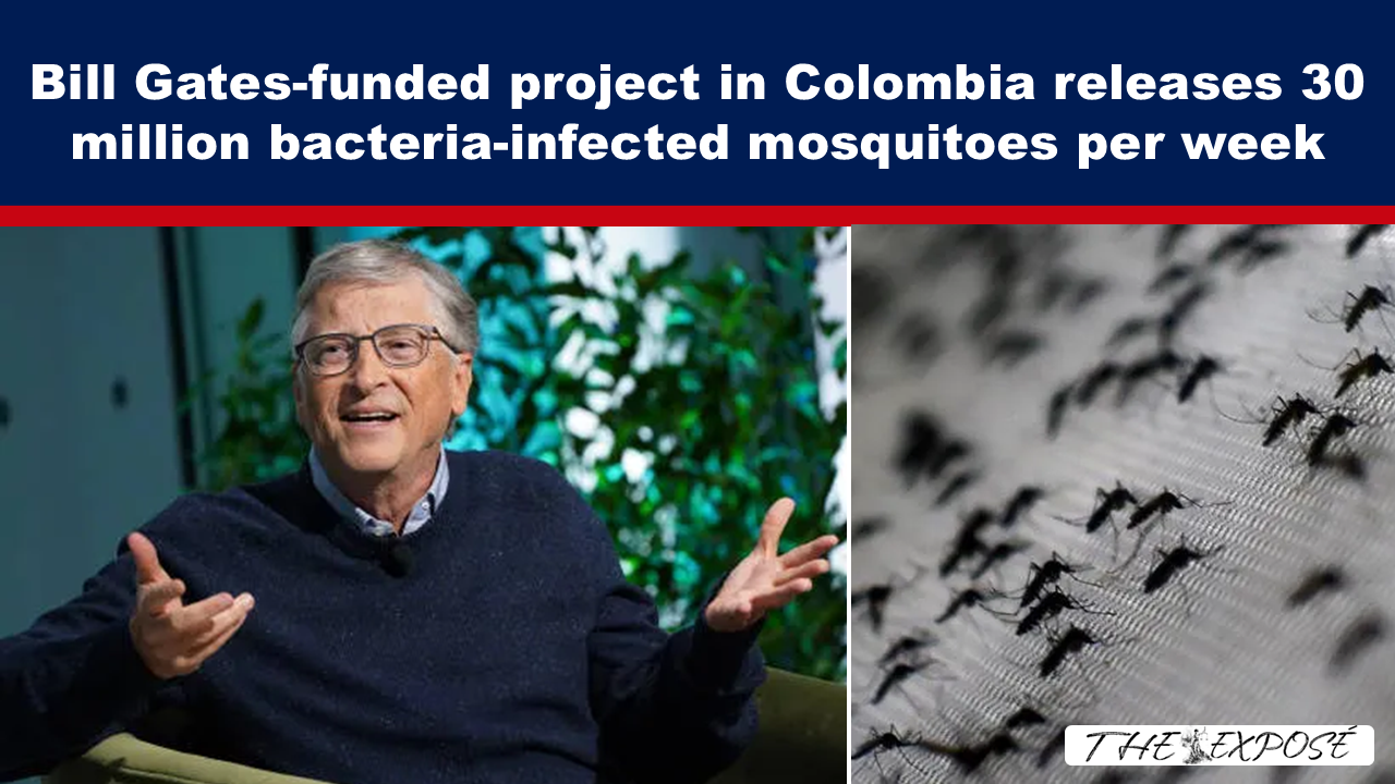 - The Expose News banner claiming a Gates-funded project in Colombia releases 30 million bacteria-infected mosquitoes per week; left shows Bill Gates speaking, right shows mosquitoes on a blurred background.