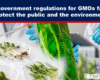 Banner headline about GMO regulations failing to protect the public and environment, over a lab scene with gloved hands handling plants.