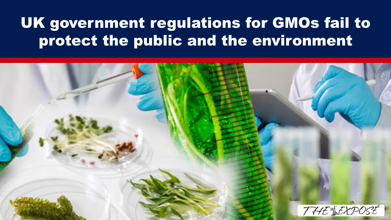 Banner headline about GMO regulations failing to protect the public and environment, over a lab scene with gloved hands handling plants.