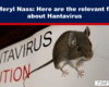 Headline about hantavirus with a mouse on a 'HANTAVIRUS CAUTION' sign beneath the banner title.