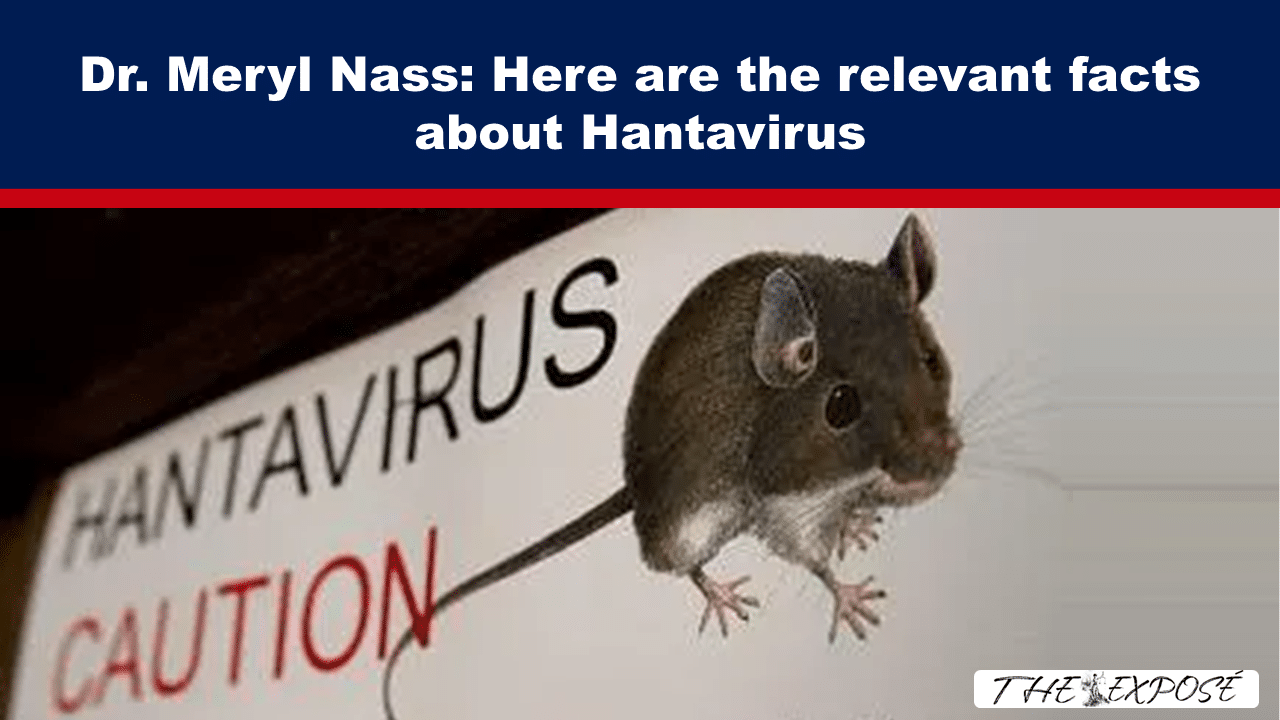 Dr. Meryl Nass: Here are the relevant facts about Hantavirus - The Expose thumbnail