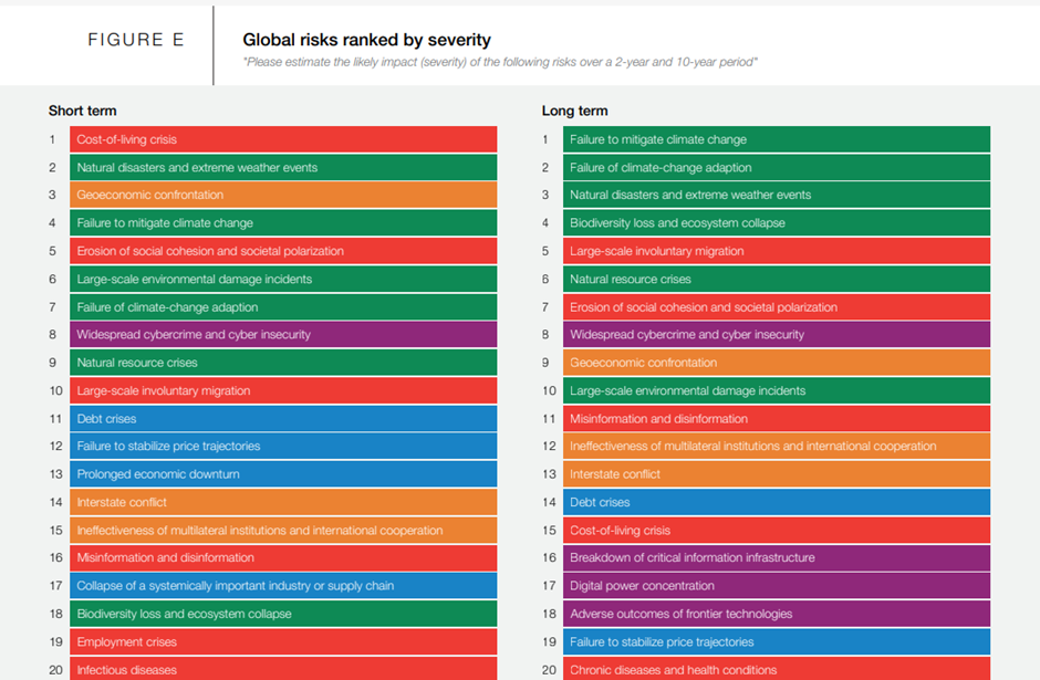 Global risks ranked by severity in two columns: short-term and long-term, with colored bars for each risk item.