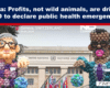 Ebola: Profits, not wild animals, are driving WHO to declare public health emergencies — photo showing the United Nations building in Geneva with balloon sculptures in the foreground.