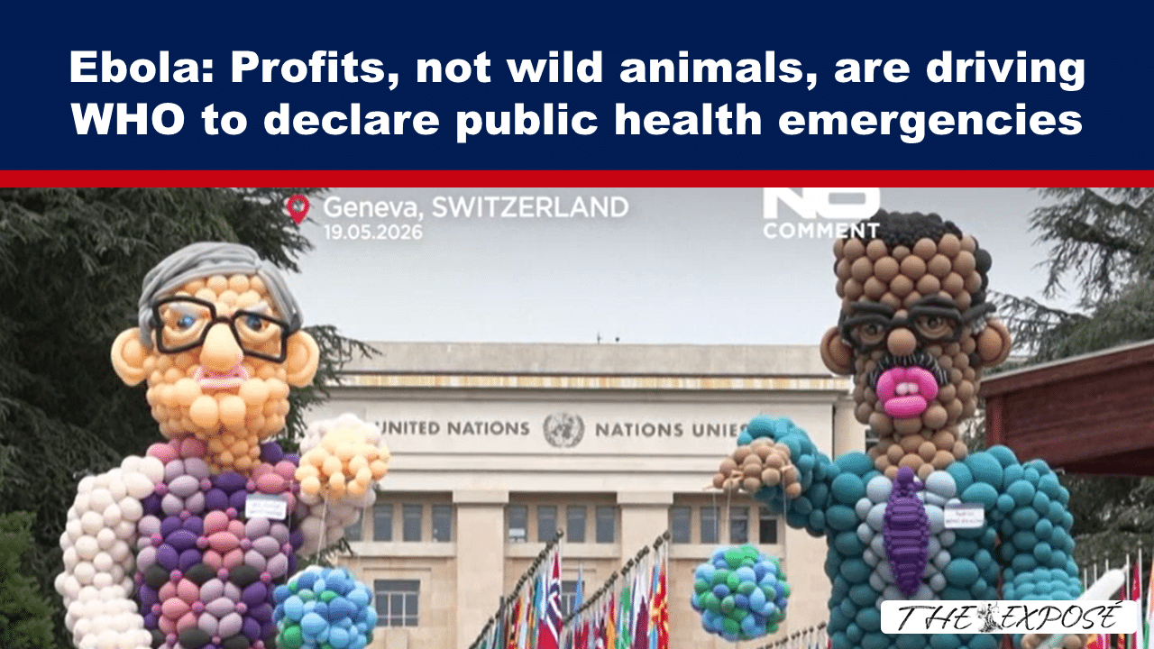 JunFeat10a - The Expose Ebola: Profits, not wild animals, are driving WHO to declare public health emergencies — photo showing the United Nations building in Geneva with balloon sculptures in the foreground.