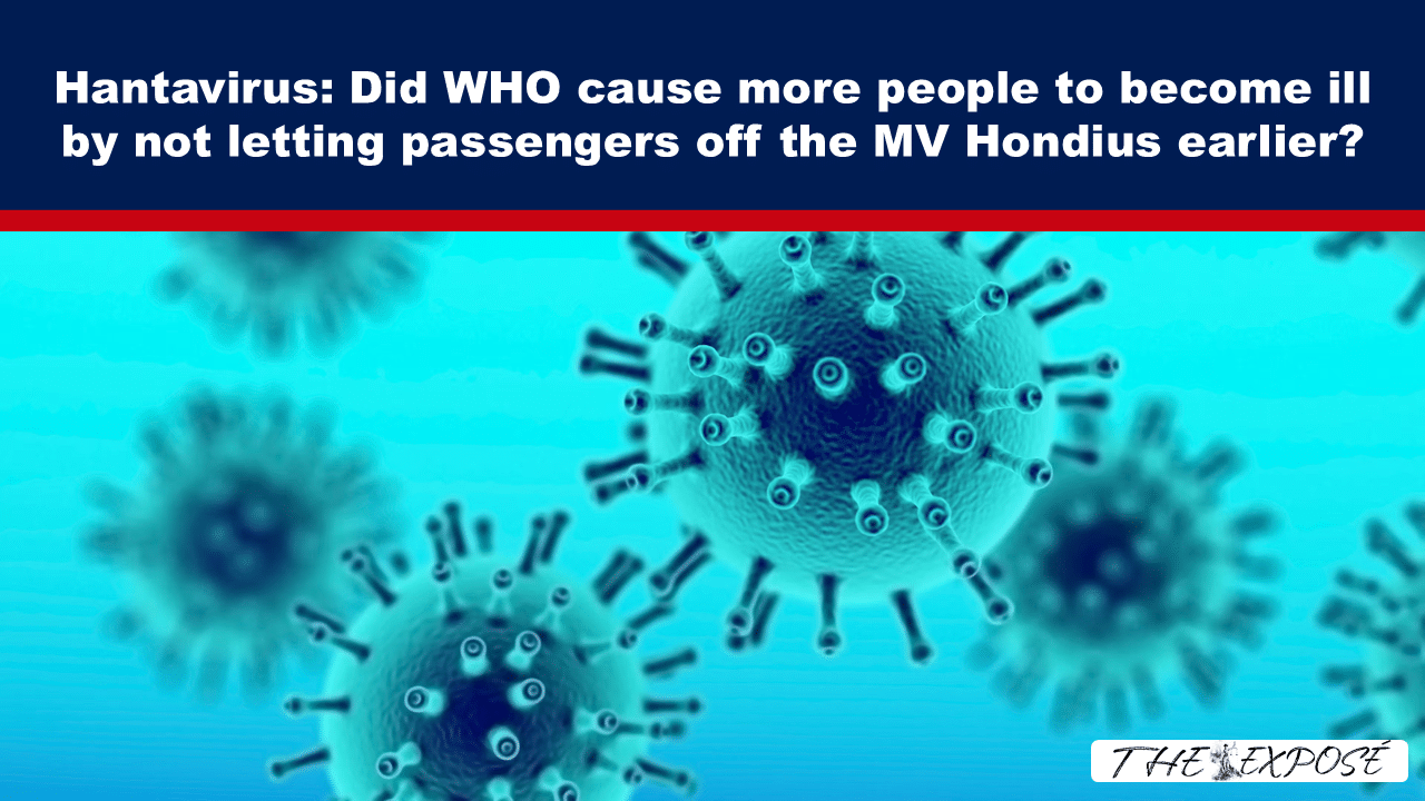 Header: 'Hantavirus: Did WHO cause more people to become ill by not letting passengers off the MV Honduras earlier?' over a blue virus illustration.