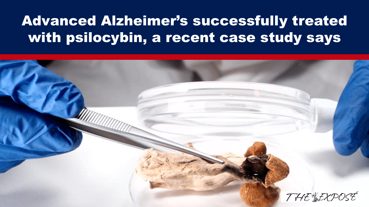 Lab scene: gloved hands use tweezers to handle a tissue sample beside a clear dish, with a bold headline about Alzheimer's treatment.