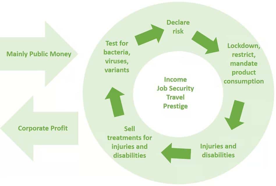 image - The Expose Circular risk cycle: declare risk, lockdowns, injuries, sell treatments, test for pathogens; center lists income, security, travel, prestige; left arrows show public money and corporate profit.