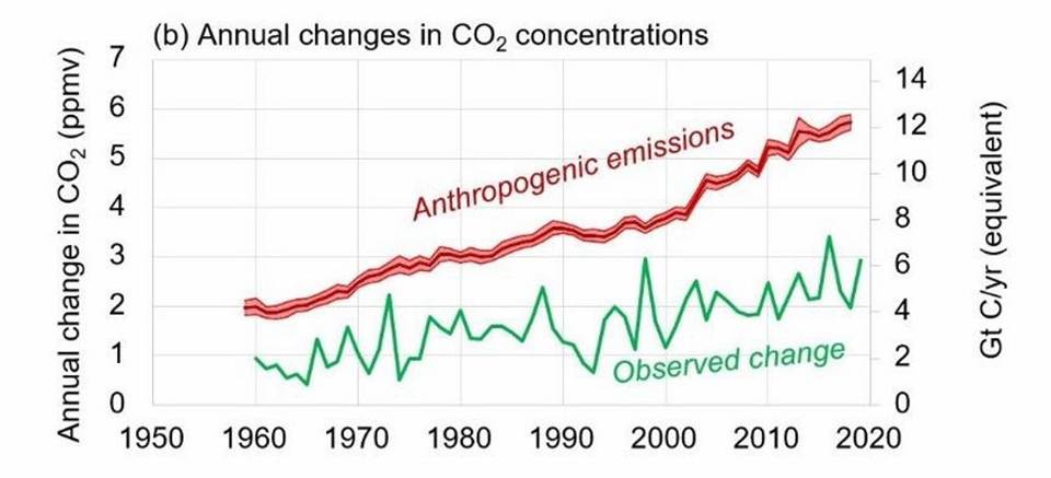 Line chart of CO2 changes from 1950 to 2020: red line shows anthropogenic emissions rising from about 2 to 6 ppmv; green line shows observed changes fluctuating around 1–4 ppmv (GtC equivalents on the right).