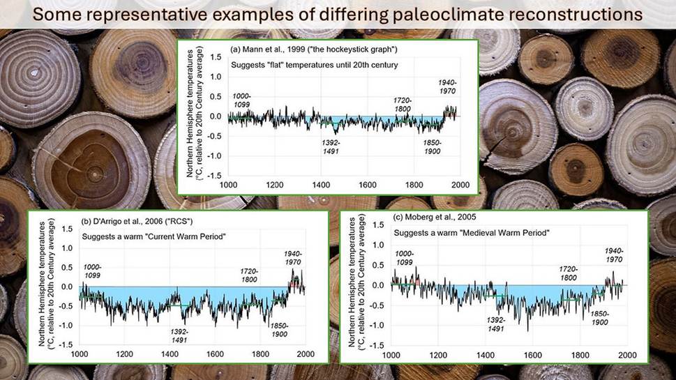 Collage of three graphs showing different paleoclimate reconstructions of Northern Hemisphere temperatures over the last two millennia.