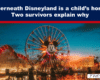 Nighttime Disneyland scene with a bright Ferris wheel featuring Mickey; reflected lights shimmer on the water and roller coasters glow in the background.