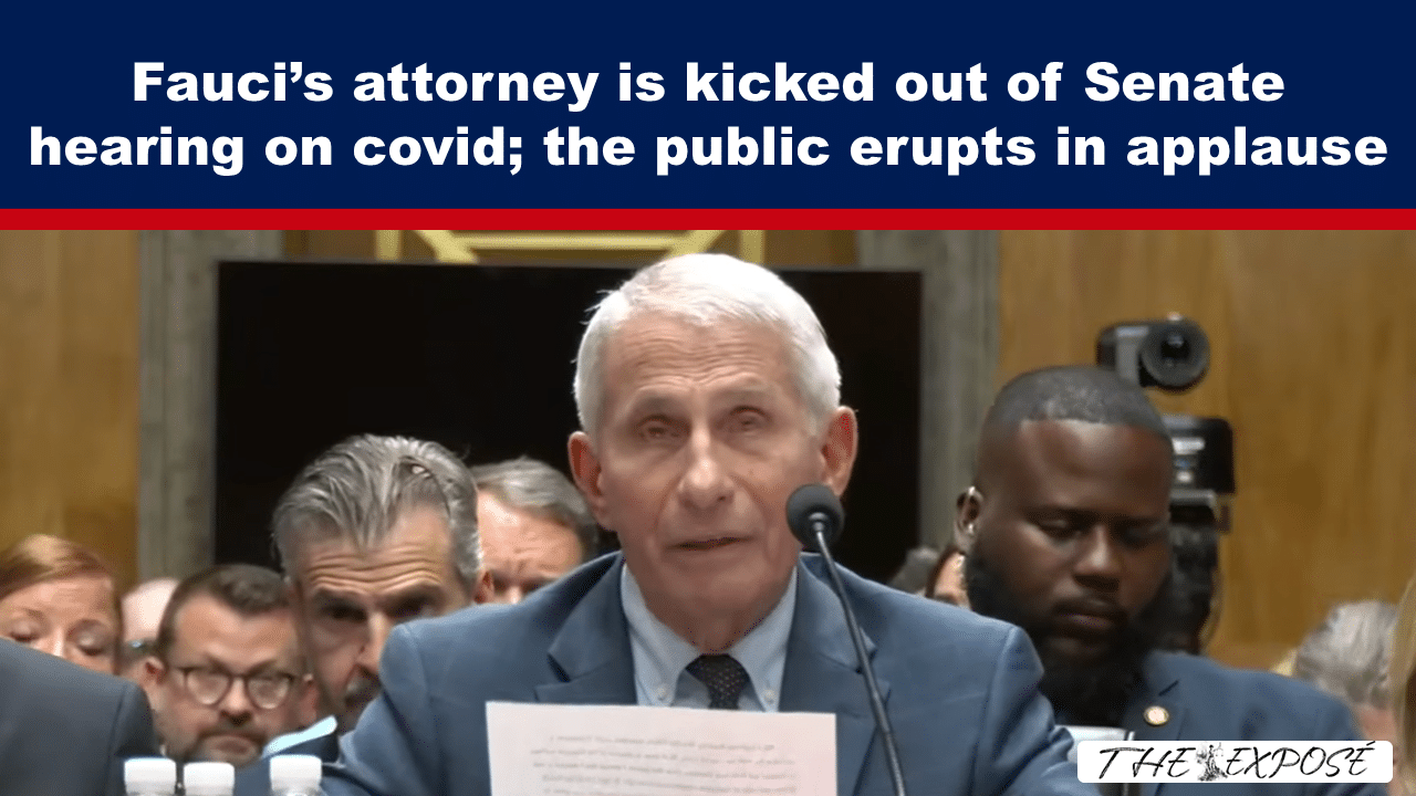 Speaker with white hair testifies at a Senate hearing; a bold headline banner about Fauci’s attorney sits above him.