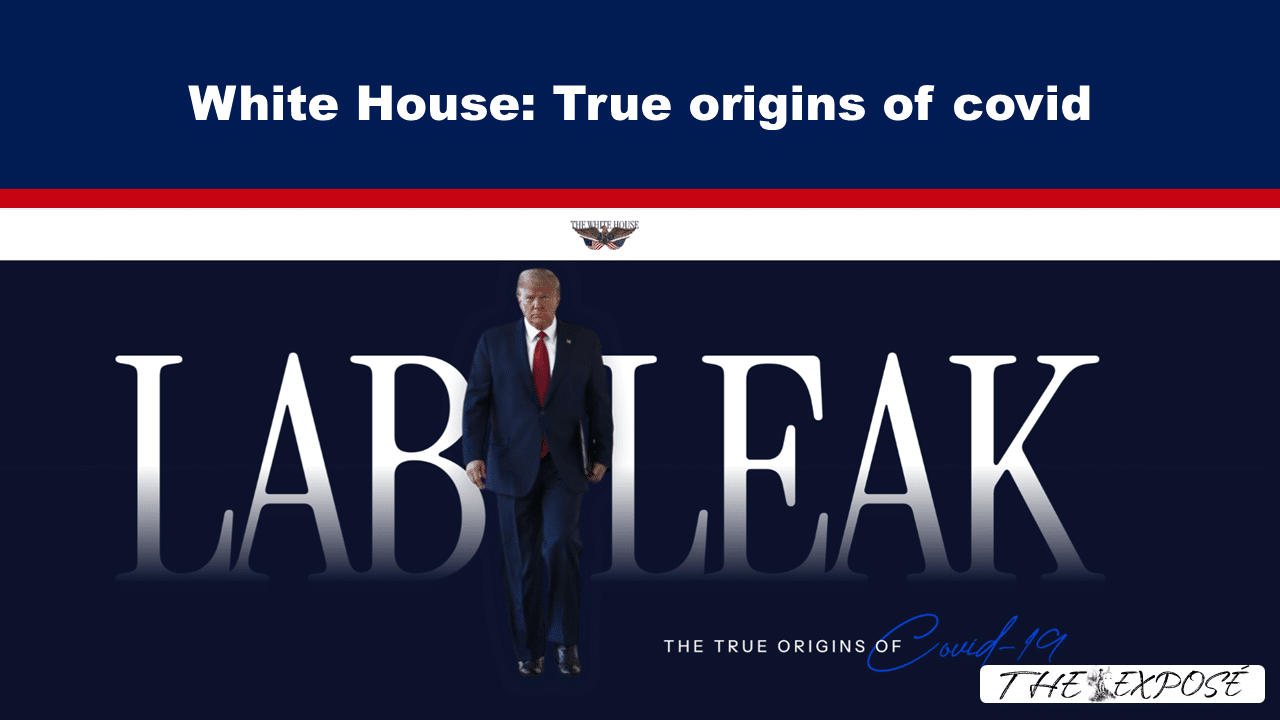 JulFeat31 - The Expose Banner thumbnail for an article: 'White House: True origins of covid' with a suited man walking in front of a large 'LAB LEAK' text and subtitle 'The true origins of Covid-19'.