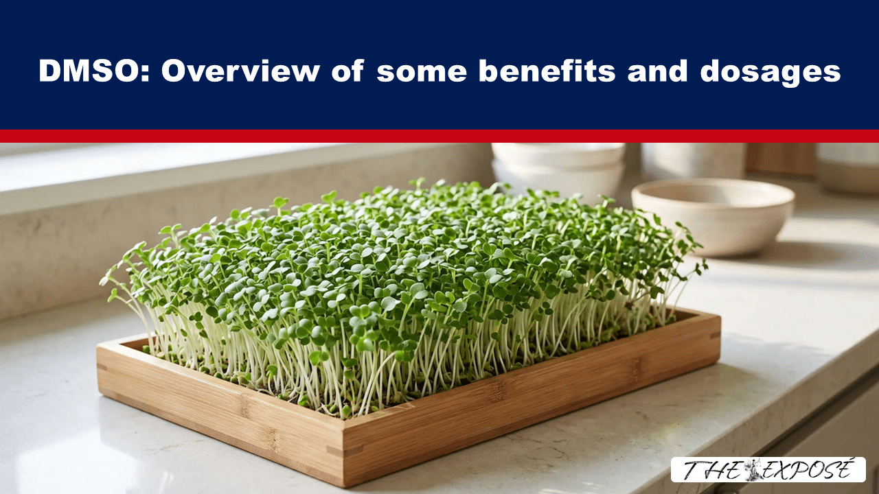 Tray of fresh microgreens growing in a wooden planter on a kitchen counter.