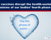 Banner headline about vaccines disrupting the body's fourth phase water, with a blue ice heart displaying 'The 4th phase of water...'