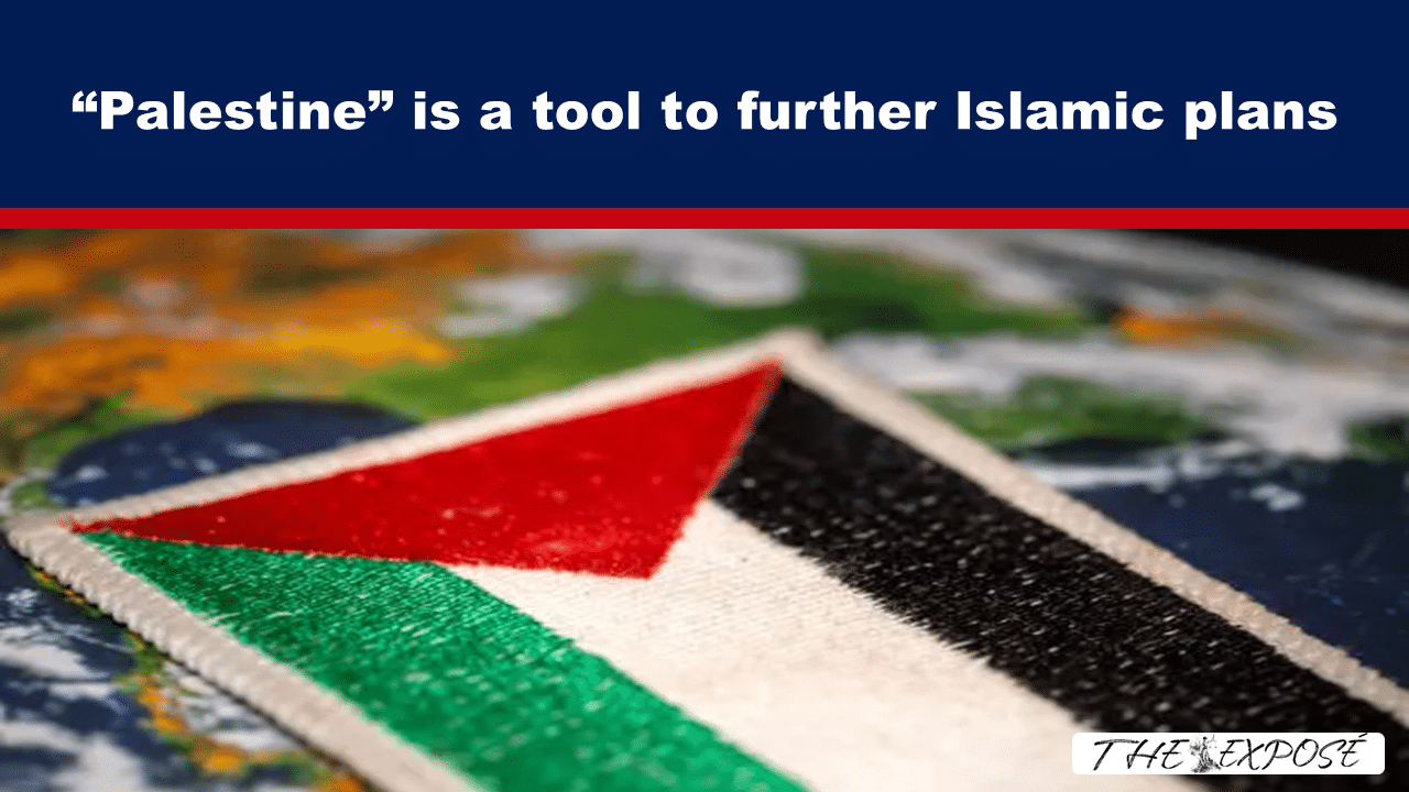 Header reads: '“Palestine” is a tool to further Islamic plans' with a red divider, above a close-up of a Palestinian flag patch on a world map.