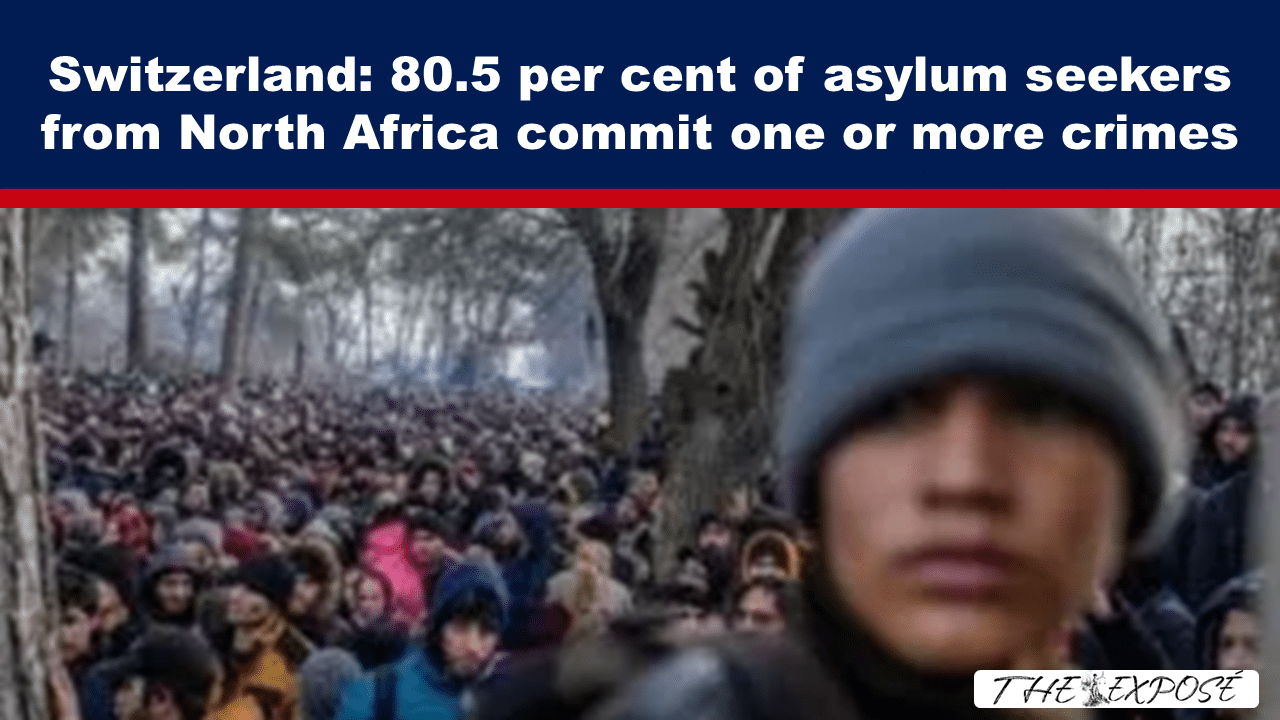 Headline image: 'Switzerland: 80.5 per cent of asylum seekers from North Africa commit one or more crimes' over a dark blue bar with a red line, with a crowded outdoor scene and a 'THE EXPOSÉ' watermark.