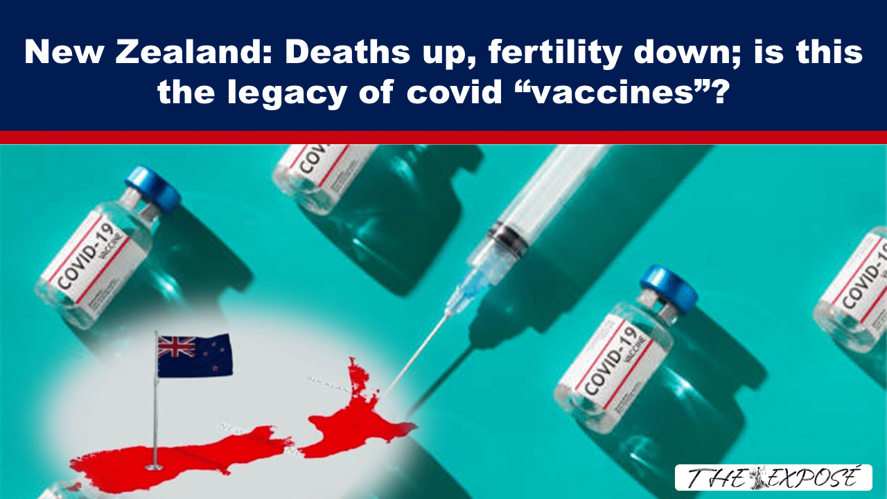 News thumbnail with a bold headline about New Zealand and vaccines, featuring syringe and vaccine vials around a map of New Zealand with a flag.