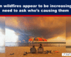 Article header: beach scene with a red umbrella and two people sitting, as a dramatic smoky sky frames the water; headline about wildfires.
